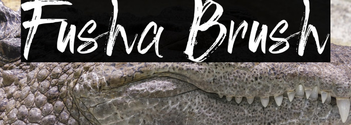 Fusha Brush Example 3