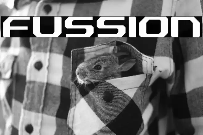 Fussion फ़ॉन्ट examples