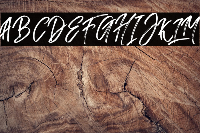 FusterdBrush-Regular Example 2