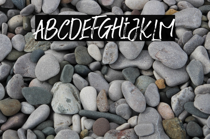 FusterdBrushTwo-Regular Example 3