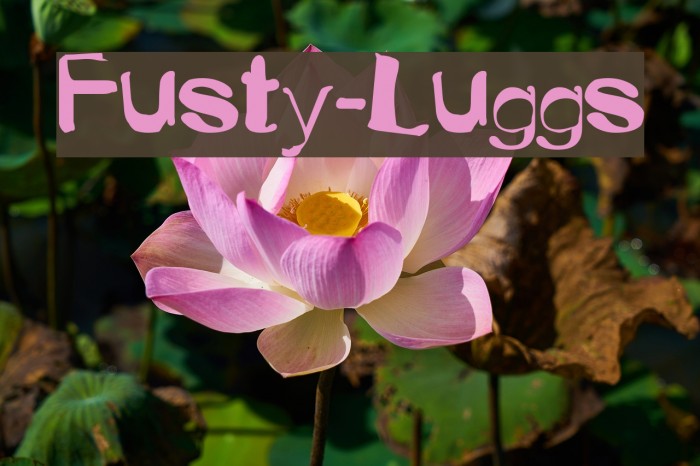 Fusty-Luggs Font examples