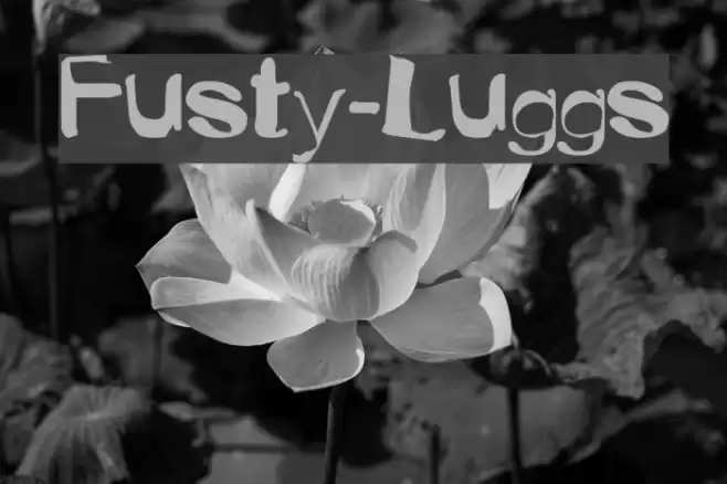 Fusty-Luggs Шрифта examples