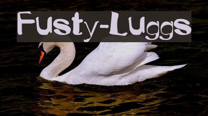 Fusty-Luggs Font examples