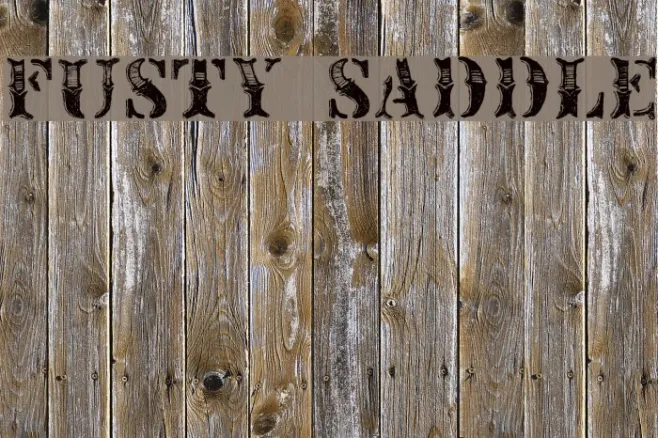 Fusty Saddle Example 1