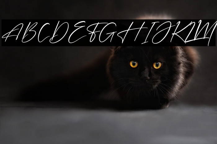 Futerdam Knight Example 1