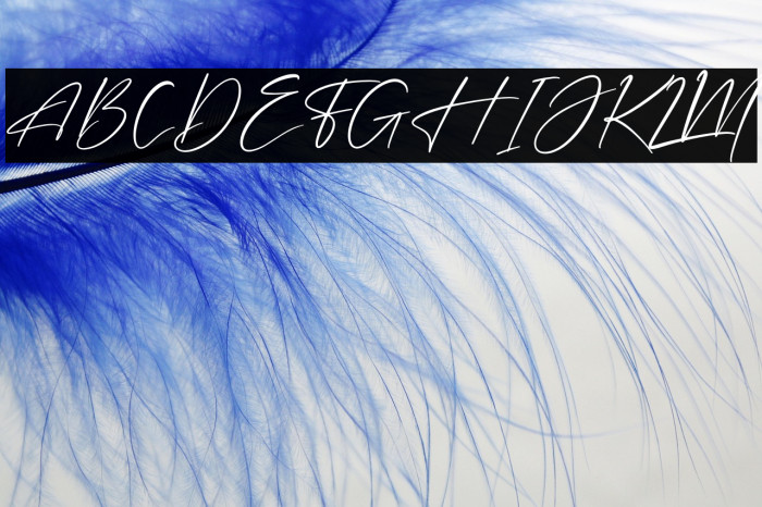 Futerdam Knight Example 2