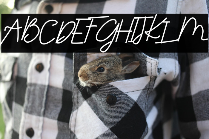 Futharic Script Example 2