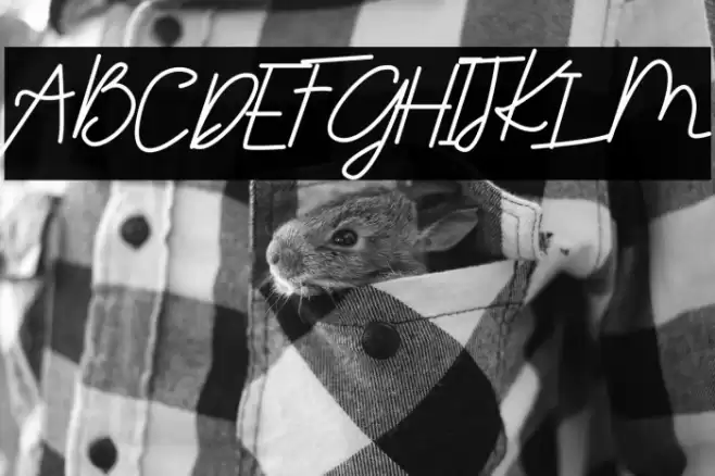 Futharic Script Font examples