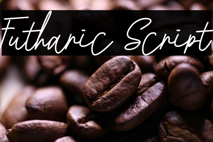 Futharic Script Example 1