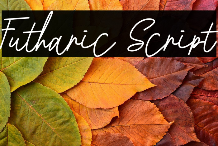 Futharic Script Example 3