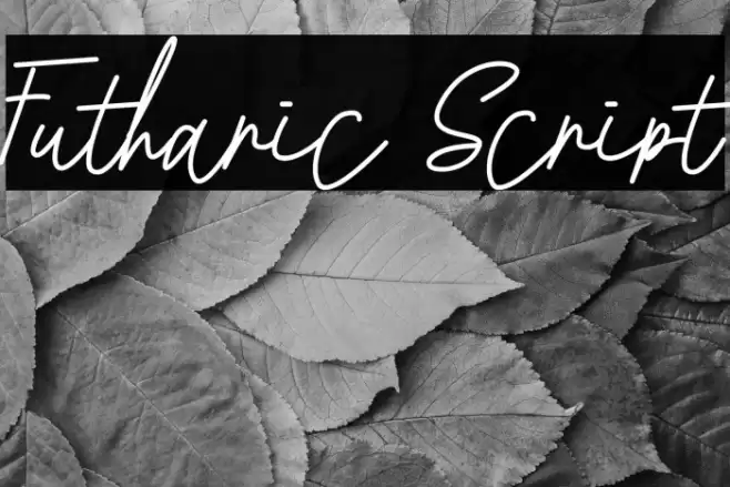 Futharic Script Font examples