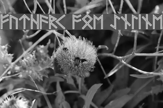 Futhark AOE Inline Font examples