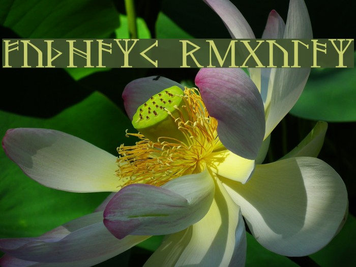 Futhark Regular Example 3