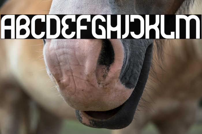 Futrons Demo Example 1