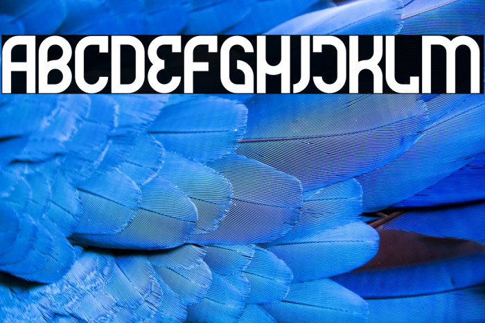 Futrons Demo Example 2