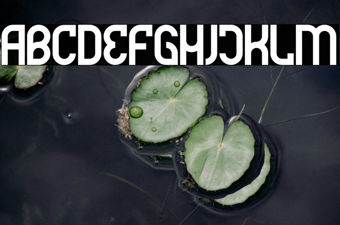 Futrons Demo Example 3