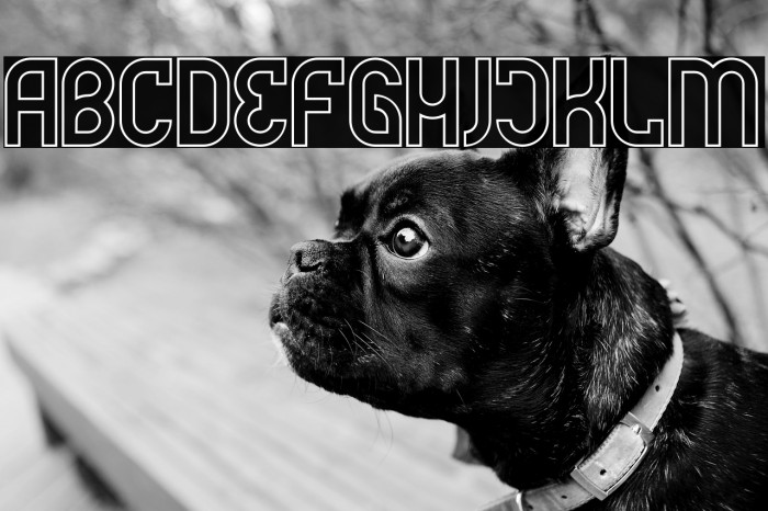 Futrons Outline Demo Example 3