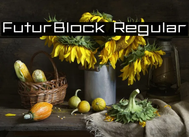 FuturBlock Regular Example 1