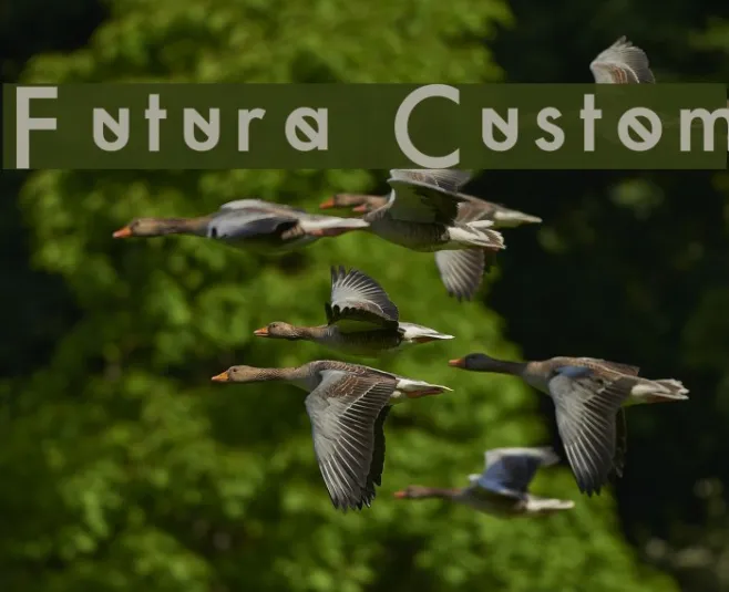 Futura Custom Example 3