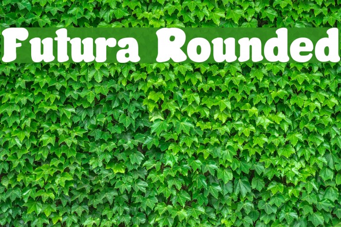 Futura Rounded Font examples
