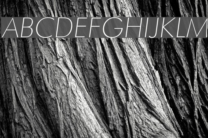 Futura Thin Italic Font examples