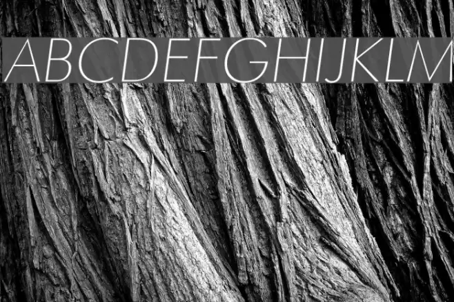 Futura Thin Italic  examples