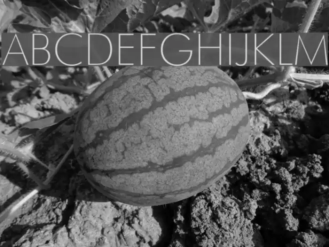 Futura Thin Font examples