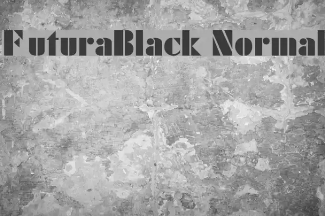 FuturaBlack Normal Font examples