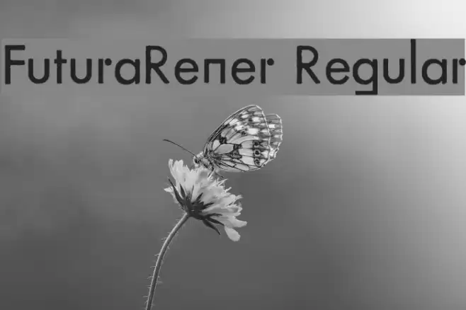 FuturaRener Regular Font examples