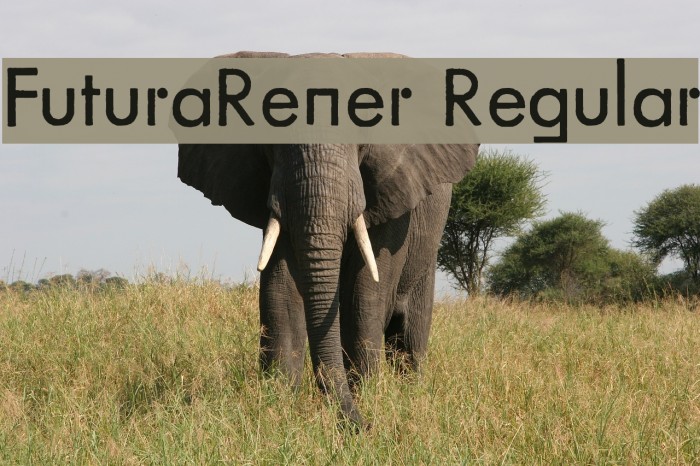 FuturaRener Regular Example 3