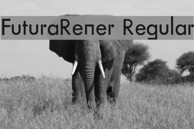 FuturaRener Regular Font examples