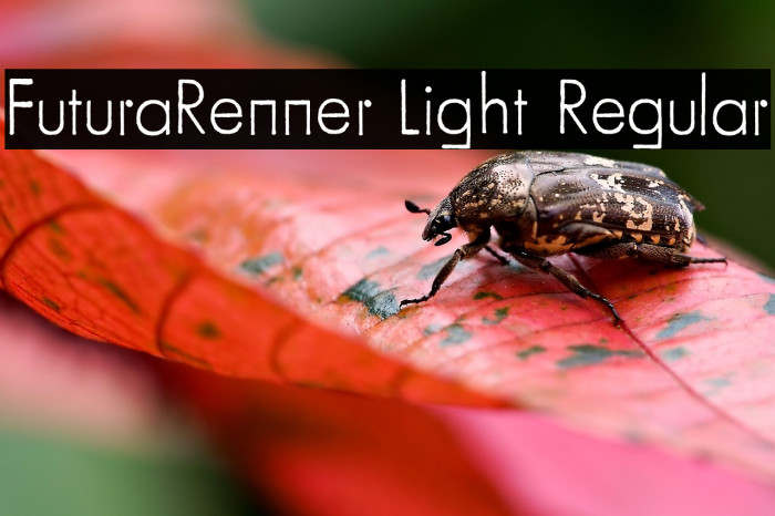 FuturaRenner Light Regular Example 2