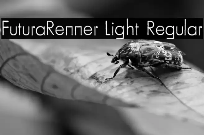 FuturaRenner Light Regular Font examples