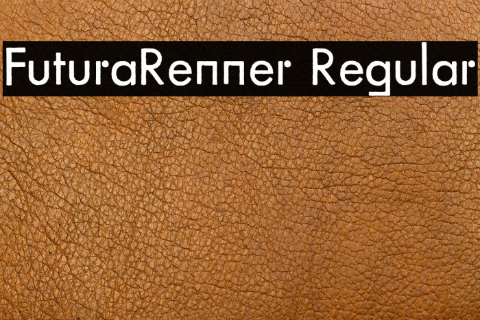 FuturaRenner Regular Example 2