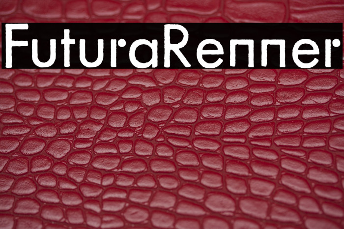 FuturaRenner Example 1