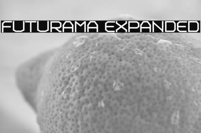 Futurama Expanded Font examples