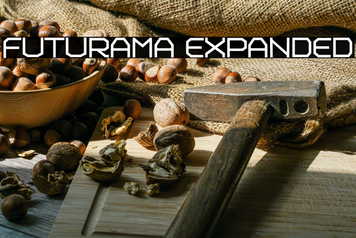 Futurama Expanded Example 2