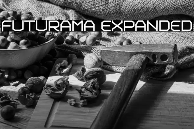Futurama Expanded Font examples