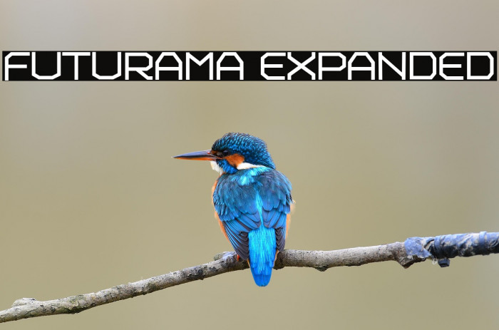 Futurama Expanded Example 3