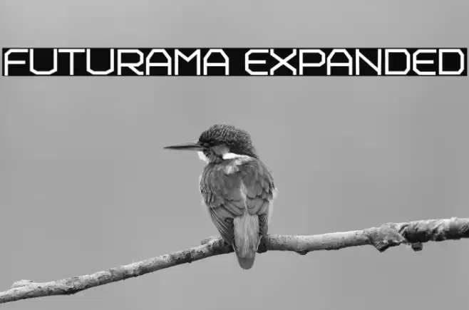 Futurama Expanded Font examples