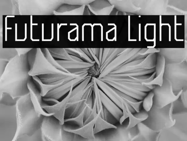 Futurama Light Font examples