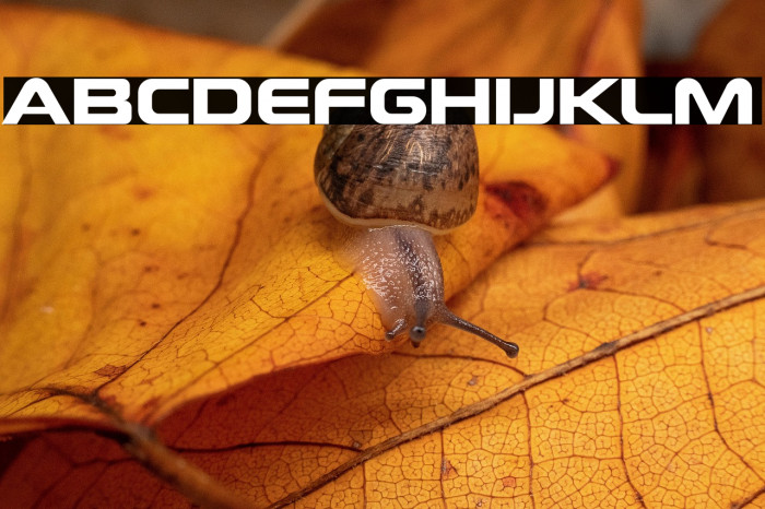 Future Earth Regular Example 1