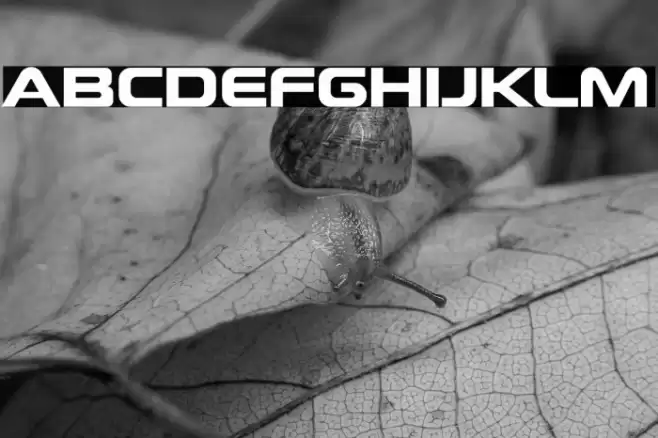 Future Earth Regular Font examples