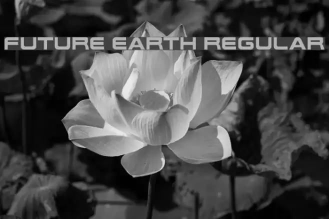 Future Earth Regular Font examples