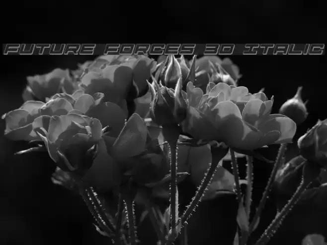 Future Forces 3D Italic Шрифта examples