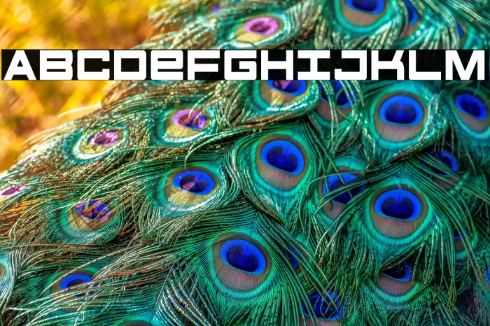 Future Forces Condensed Example 1