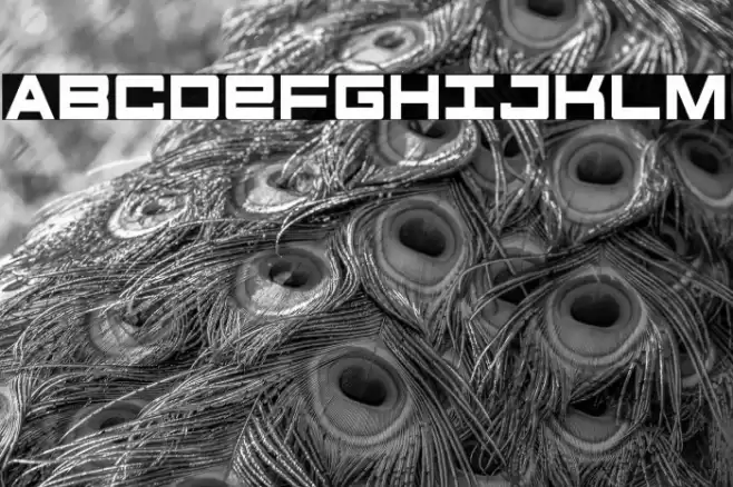 Future Forces Condensed Font examples