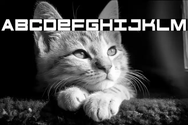 Future Forces Condensed Font examples