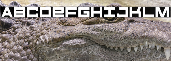 Future Forces Condensed Example 3