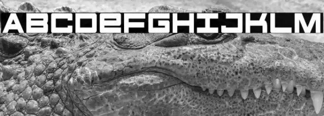 Future Forces Condensed Font examples